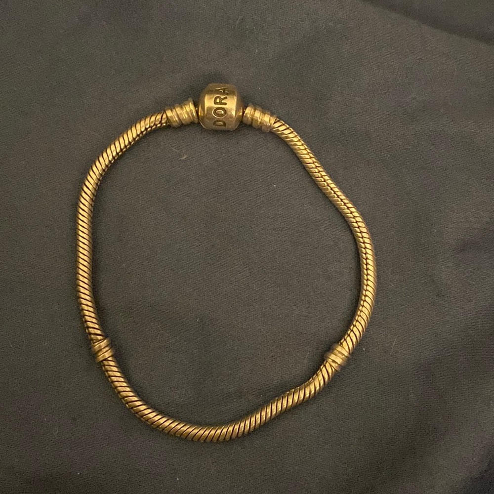 Pandora charm holder bracelet